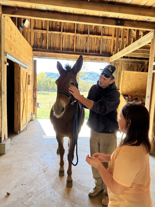 Patrick Teaching How to Care for Horses & Mules