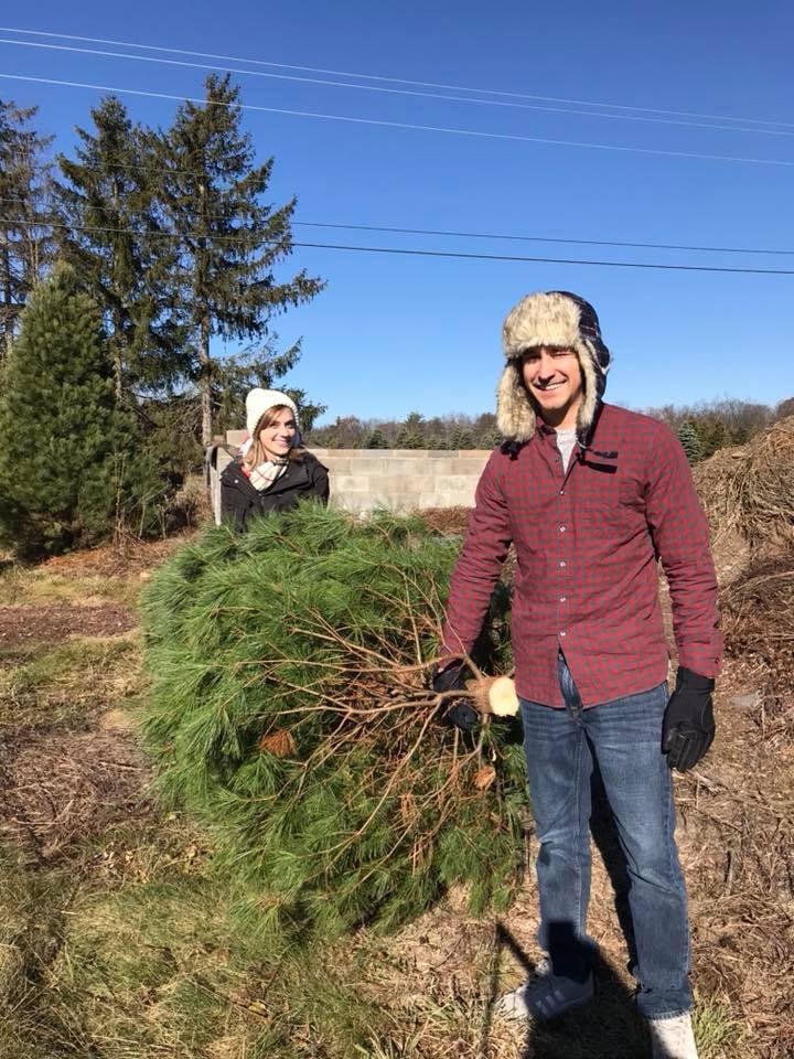 Cutting Down Our Christmas Tree