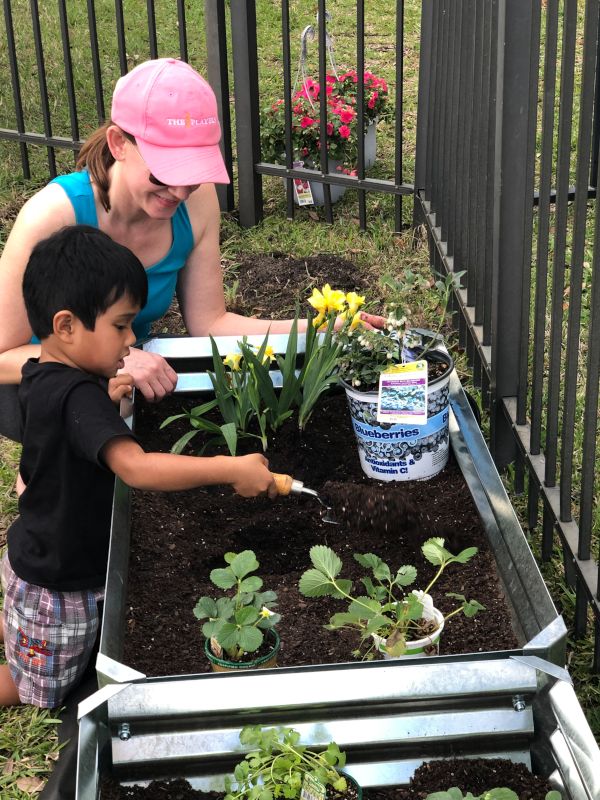 Growing Vegetables in Our Backyard