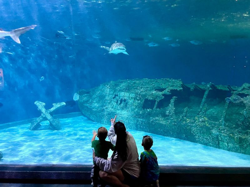 North Carolina Aquarium