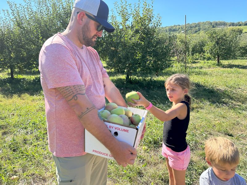 Picking Apples in the Fall